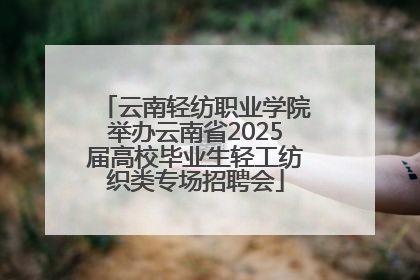 云南轻纺职业学院举办云南省2025届高校毕业生轻工纺织类专场招聘会