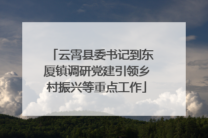 云霄县委书记到东厦镇调研党建引领乡村振兴等重点工作