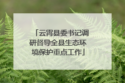 云霄县委书记调研督导全县生态环境保护重点工作