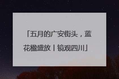 五月的广安街头，蓝花楹盛放丨镜观四川