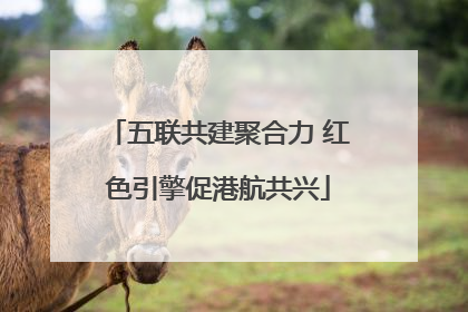 五联共建聚合力 红色引擎促港航共兴