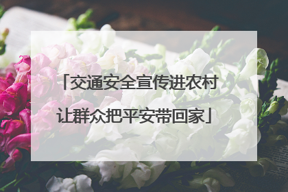 交通安全宣传进农村 让群众把平安带回家