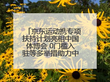 京东运动携专项扶持计划亮相中国体博会 0门槛入驻等多举措助力中小品牌成长