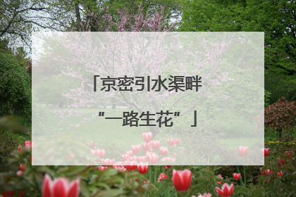 京密引水渠畔“一路生花”