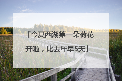 今夏西湖第一朵荷花开啦，比去年早5天