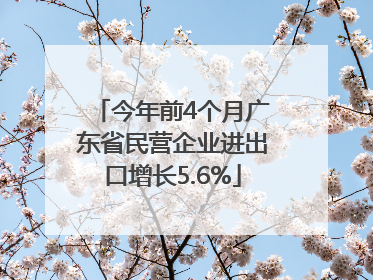 今年前4个月广东省民营企业进出口增长5.6%