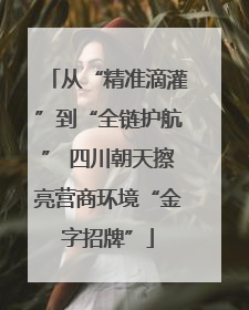 从“精准滴灌”到“全链护航” 四川朝天擦亮营商环境“金字招牌”