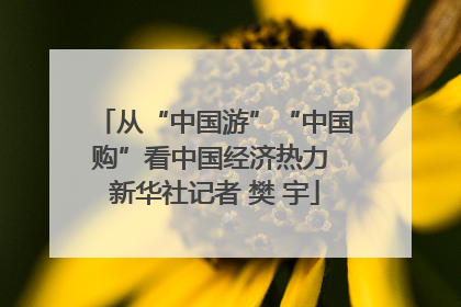 从“中国游”“中国购”看中国经济热力 新华社记者 樊 宇