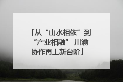 从“山水相依”到“产业相融” 川渝协作再上新台阶