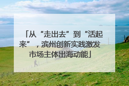 从“走出去”到“活起来”，滨州创新实践激发市场主体出海动能