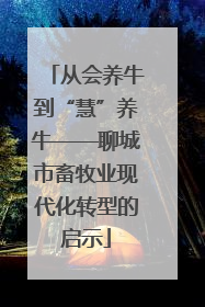 从会养牛到“慧”养牛——聊城市畜牧业现代化转型的启示