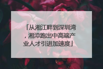 从湘江畔到深圳湾，湘潭跑出中高端产业人才引进加速度