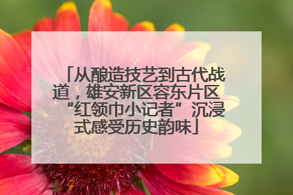 从酿造技艺到古代战道，雄安新区容东片区“红领巾小记者”沉浸式感受历史韵味