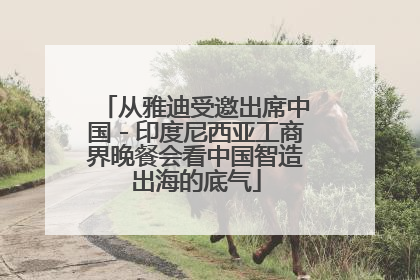 从雅迪受邀出席中国－印度尼西亚工商界晚餐会看中国智造出海的底气