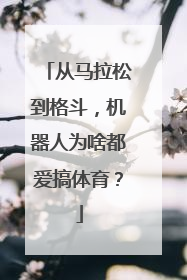 从马拉松到格斗，机器人为啥都爱搞体育？