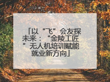 以“飞”会友探未来：“金陵工匠”无人机培训赋能就业新方向