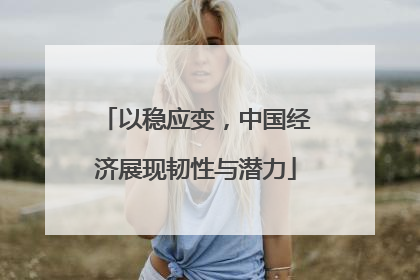 以稳应变，中国经济展现韧性与潜力