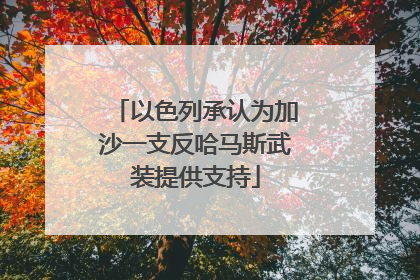 以色列承认为加沙一支反哈马斯武装提供支持