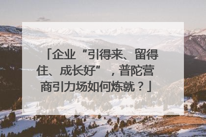 企业“引得来、留得住、成长好”，普陀营商引力场如何炼就？