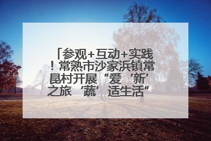 参观+互动+实践！常熟市沙家浜镇常昆村开展“爱‘新’之旅‘蔬’适生活”参观学习活动