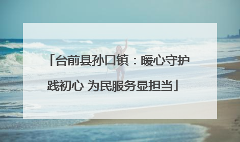 台前县孙口镇：暖心守护践初心 为民服务显担当