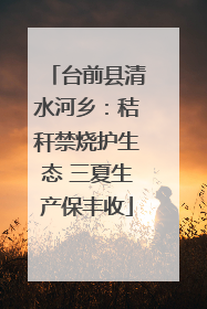 台前县清水河乡：秸秆禁烧护生态 三夏生产保丰收
