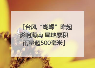 台风“蝴蝶”昨起影响海南 局地累积雨量超500毫米