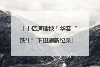 十倍速插秧！华容“铁牛”下田刷新纪录