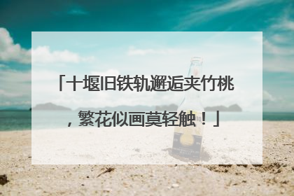 十堰旧铁轨邂逅夹竹桃，繁花似画莫轻触！