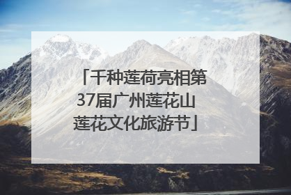 千种莲荷亮相第37届广州莲花山莲花文化旅游节
