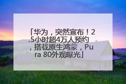 华为，突然宣布！2.5小时超4万人预约，搭载原生鸿蒙，Pura 80外观曝光
