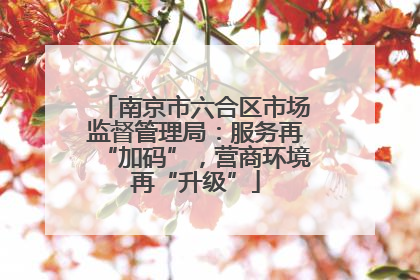 南京市六合区市场监督管理局：服务再“加码”，营商环境再“升级”