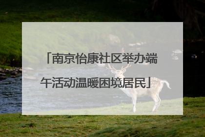 南京怡康社区举办端午活动温暖困境居民