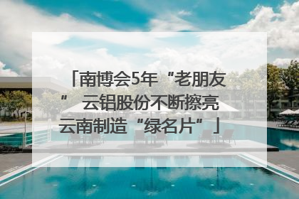 南博会5年“老朋友” 云铝股份不断擦亮云南制造“绿名片”