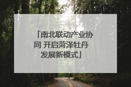 南北联动产业协同 开启菏泽牡丹发展新模式