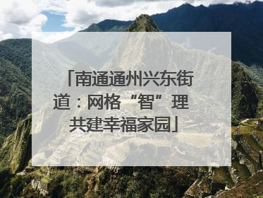 南通通州兴东街道：网格“智”理 共建幸福家园