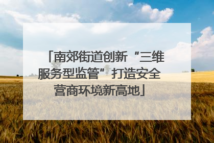 南郊街道创新“三维服务型监管”打造安全营商环境新高地