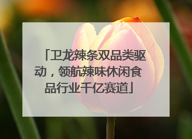 卫龙辣条双品类驱动，领航辣味休闲食品行业千亿赛道
