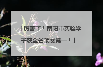 厉害了！南阳市实验学子获全省预赛第一！