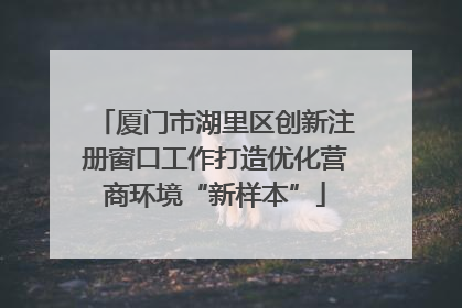 厦门市湖里区创新注册窗口工作打造优化营商环境“新样本”