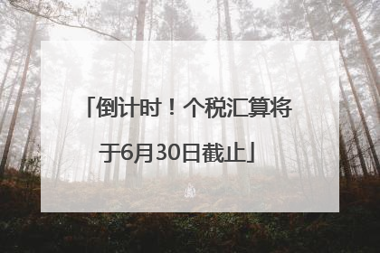 倒计时！个税汇算将于6月30日截止