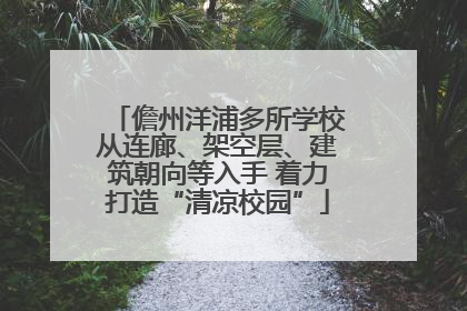 儋州洋浦多所学校从连廊、架空层、建筑朝向等入手 着力打造“清凉校园”
