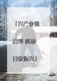 兴产业强治理 抓项目促振兴