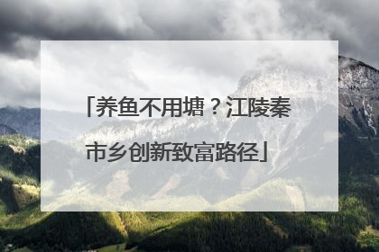 养鱼不用塘？江陵秦市乡创新致富路径