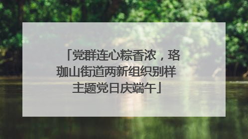 党群连心粽香浓，珞珈山街道两新组织别样主题党日庆端午