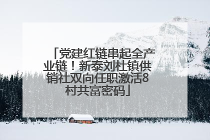 党建红链串起全产业链！新泰刘杜镇供销社双向任职激活8村共富密码