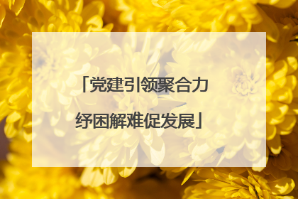 党建引领聚合力 纾困解难促发展