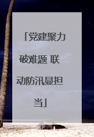 党建聚力破难题 联动防汛显担当