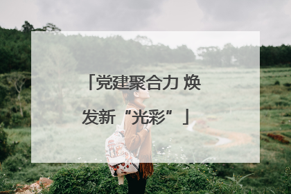 党建聚合力 焕发新“光彩”