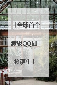 全球首个满级QQ即将诞生